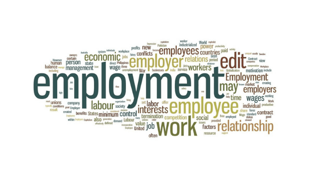A word cloud with EMPLOYMENT as the largest word.