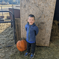 a boy outdoors standing next to a pumpkin on the grass