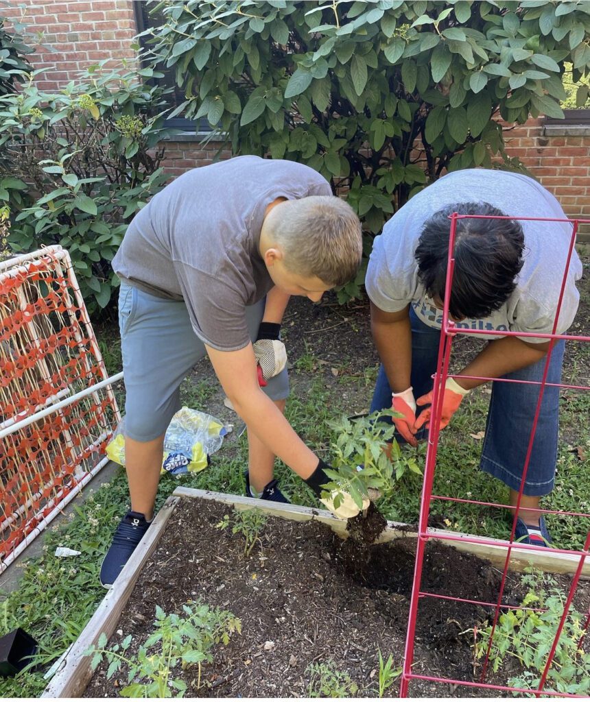 2 people outdoors planting herbs in a garden